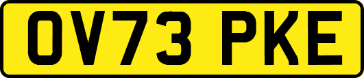 OV73PKE