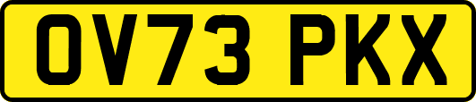 OV73PKX