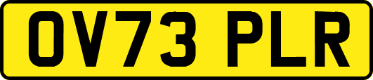 OV73PLR