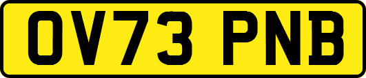 OV73PNB