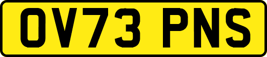 OV73PNS