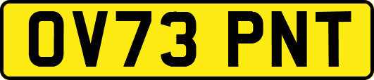 OV73PNT