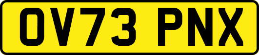 OV73PNX