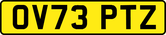 OV73PTZ