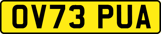 OV73PUA
