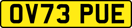 OV73PUE