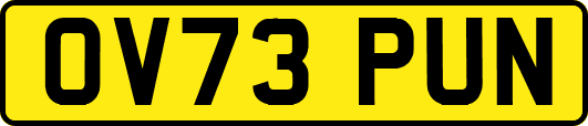 OV73PUN