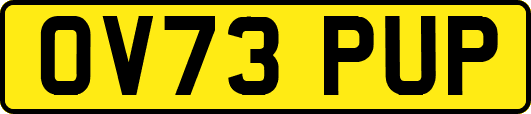 OV73PUP