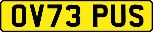 OV73PUS