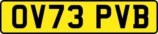 OV73PVB
