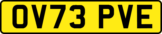 OV73PVE
