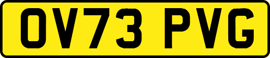 OV73PVG