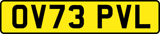 OV73PVL