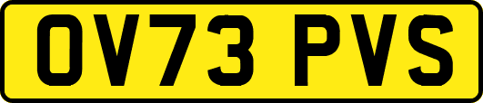 OV73PVS