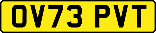 OV73PVT