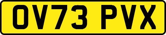 OV73PVX
