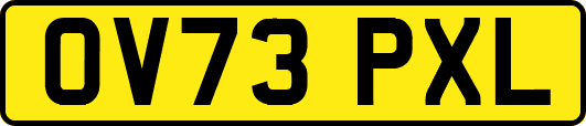 OV73PXL