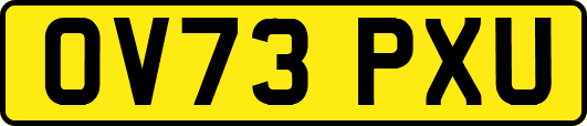 OV73PXU