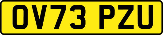 OV73PZU