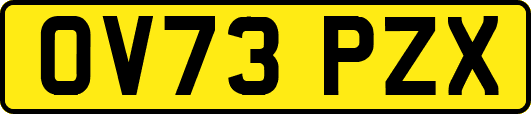 OV73PZX