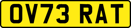 OV73RAT