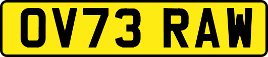 OV73RAW