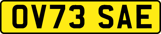 OV73SAE