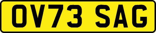 OV73SAG