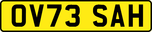OV73SAH