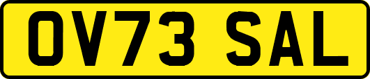 OV73SAL