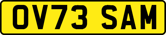 OV73SAM