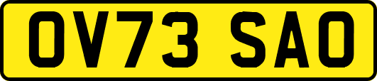 OV73SAO