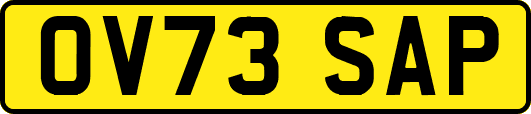 OV73SAP