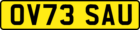 OV73SAU