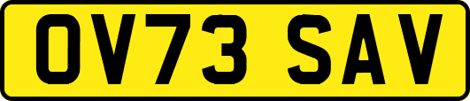 OV73SAV