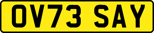 OV73SAY