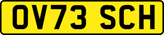 OV73SCH
