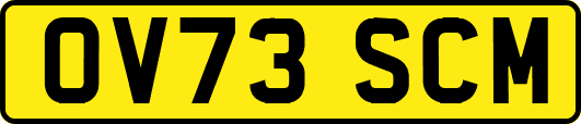 OV73SCM