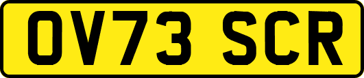 OV73SCR