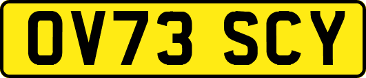 OV73SCY