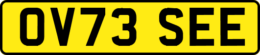 OV73SEE