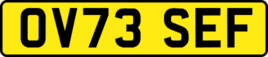 OV73SEF