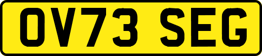 OV73SEG