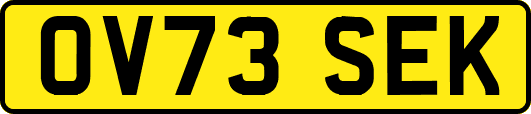 OV73SEK