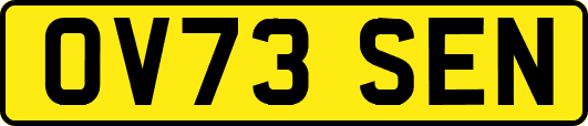 OV73SEN
