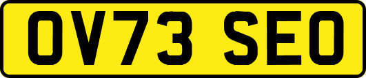 OV73SEO