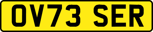 OV73SER