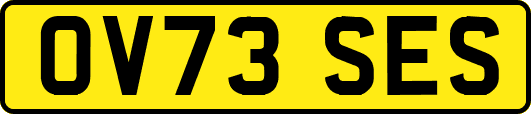 OV73SES