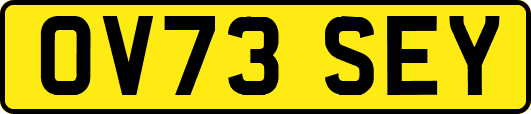 OV73SEY