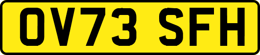 OV73SFH